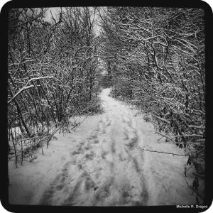 1-12-14-13wintertrails