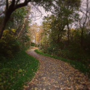 This is where I run....breathtaking.  