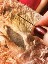 Don't worry, no one was hurt!