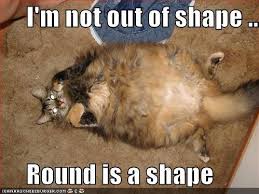 Pretty much how I feel...LOL