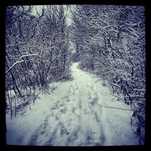 Winter trails