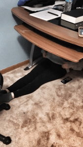 Yup...hiding under the desk. I joined her for a bit. LOL